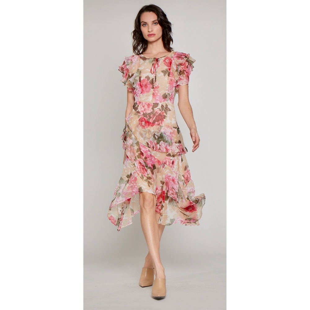 Walter Baker Granger Ruffle Sheer Floral Dress 4